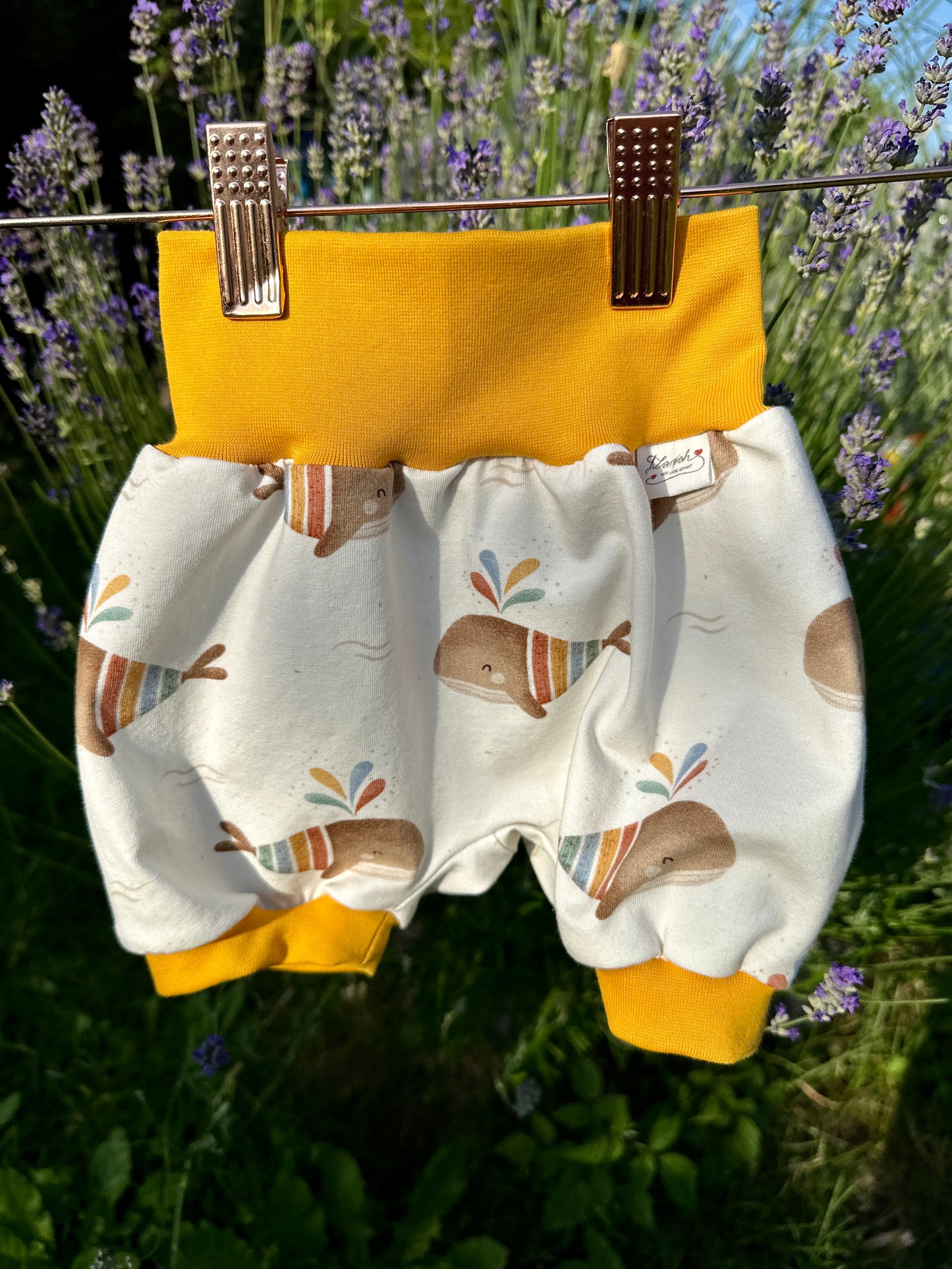01 | HOSE | Pumphose kurz Wal | Bio | Größe 68/74