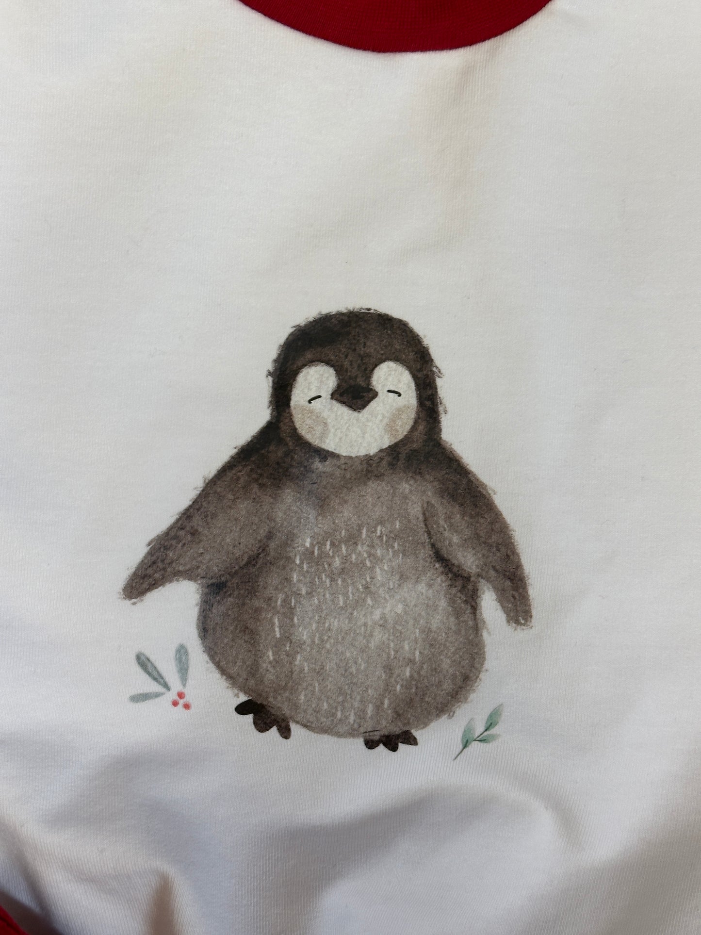 Set: Oversized Sweater & Pumpjeans Pinguin | Bio | Größe 74